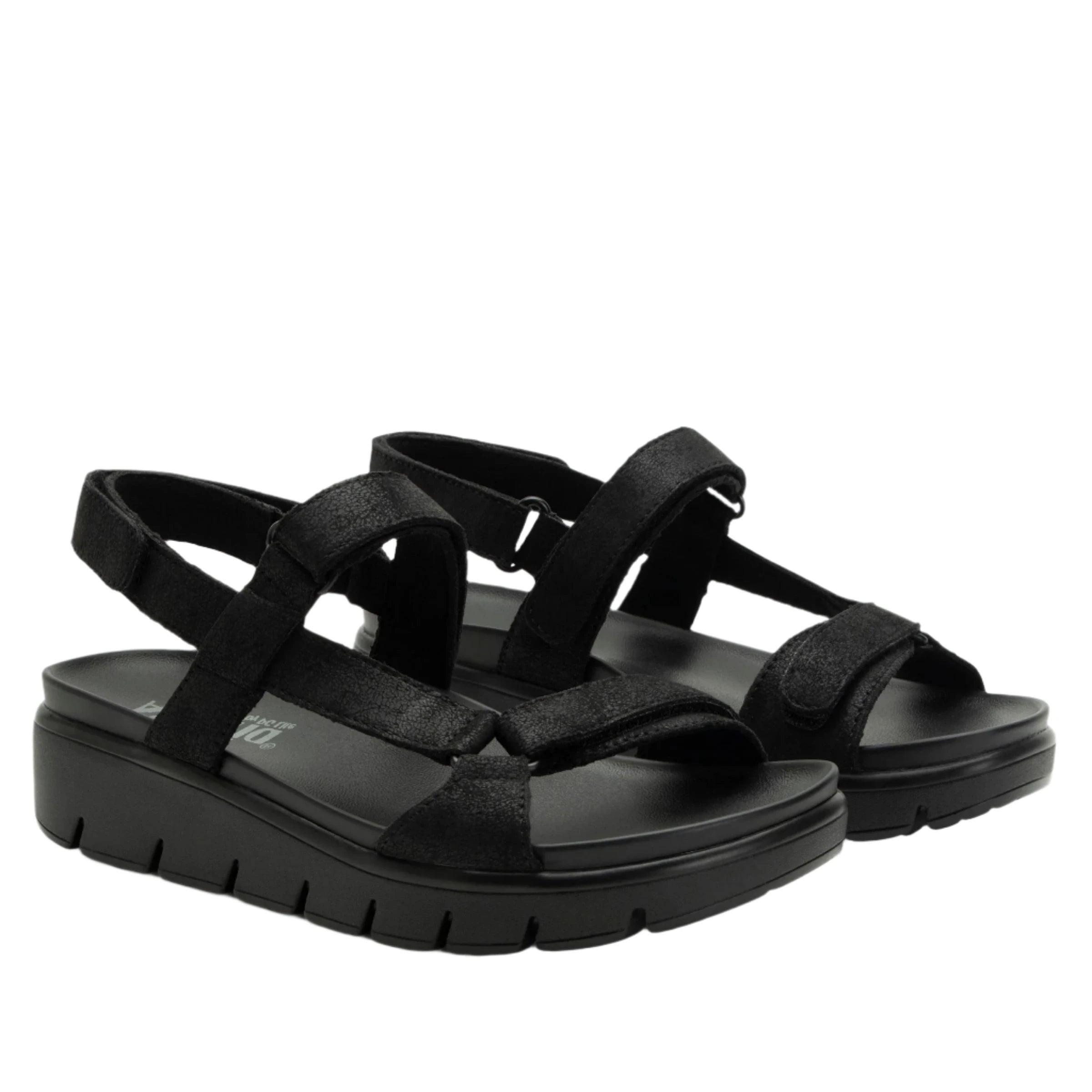 Alegria Women's Henna They Call Me Mellow Sandals - Black