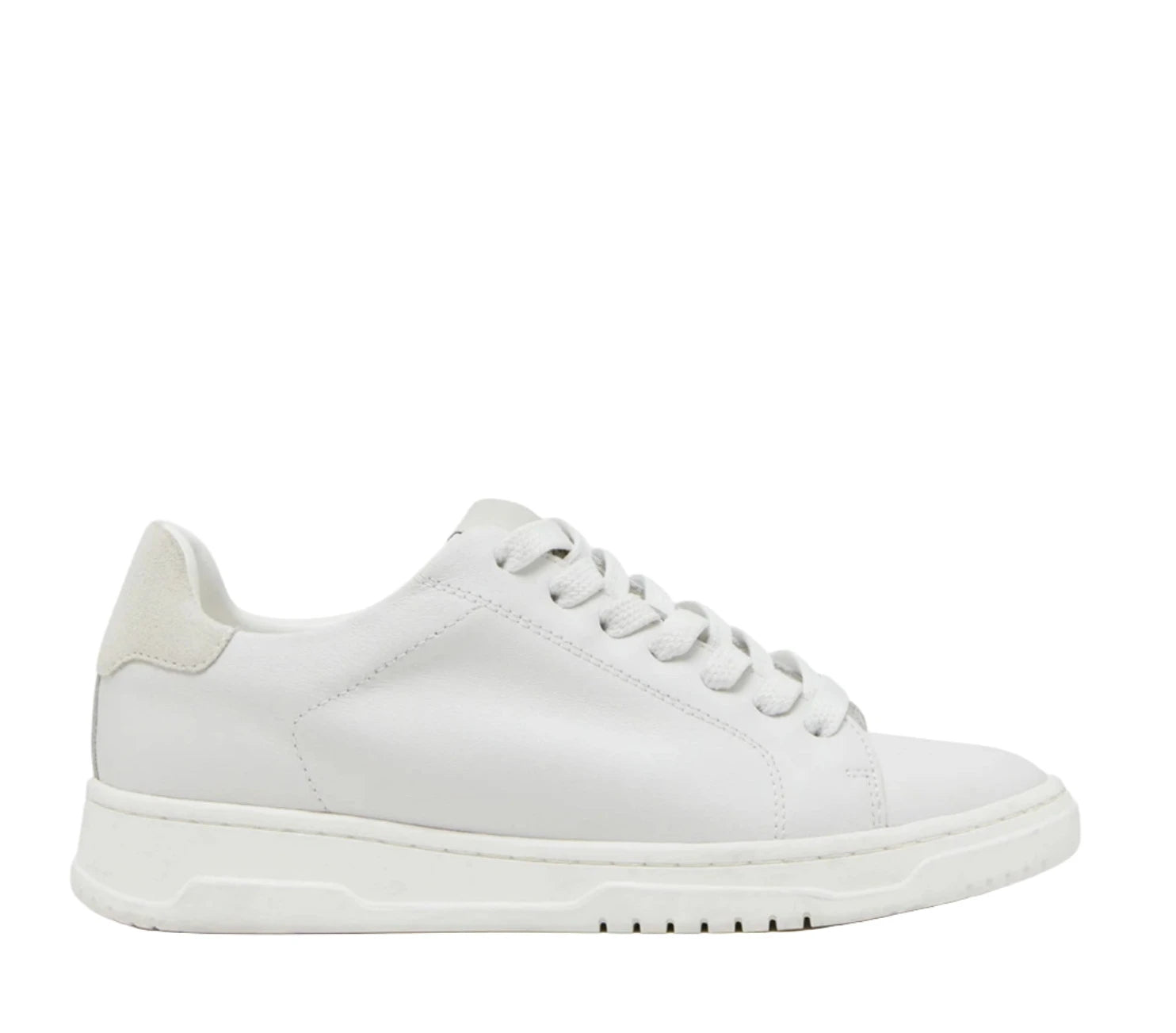 Women's Elsin Sneakers - White