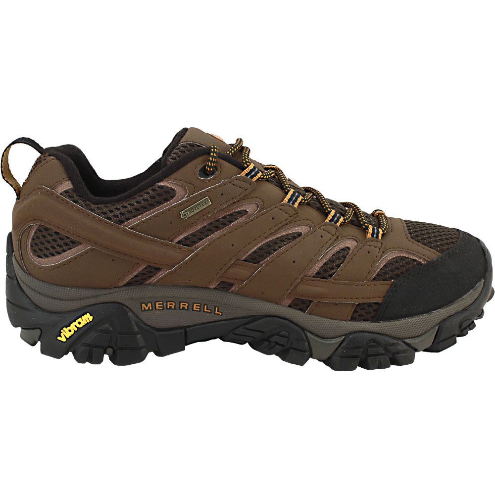 Merrell Men's Moab 2 GTX Sneaker - Earth